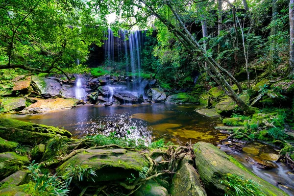 güzel tropikal yağmur ormanları şelale derin orman içinde