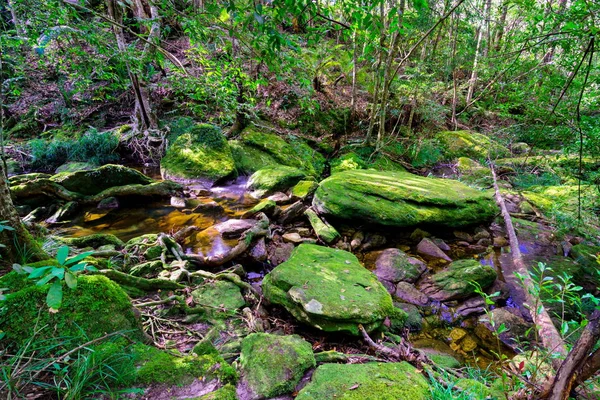 Wunderschöner tropischer Regenwald-Wasserfall im tiefen Wald — Stockfoto