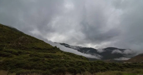 風光明媚な景観で霧に包まれている常緑針葉樹と雲の横の山の斜面 — ストック写真