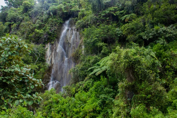 Водоспад Дощовому Лісі — стокове фото