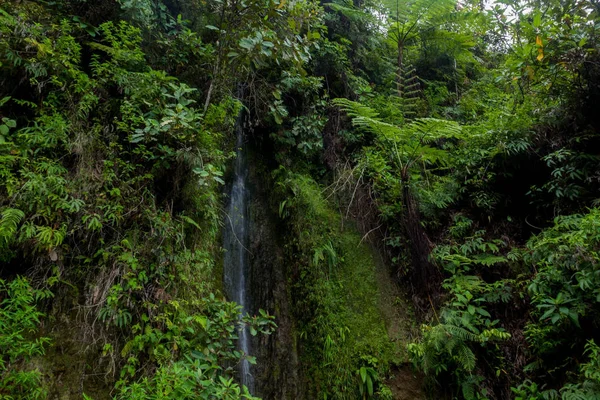 Водоспад Горі Самосир Індонезія — стокове фото