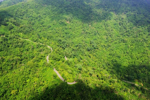 Letecký Pohled Deštného Pralesa — Stock fotografie