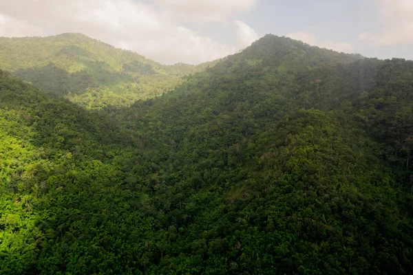 Vista Aérea Selva Tropical —  Fotos de Stock