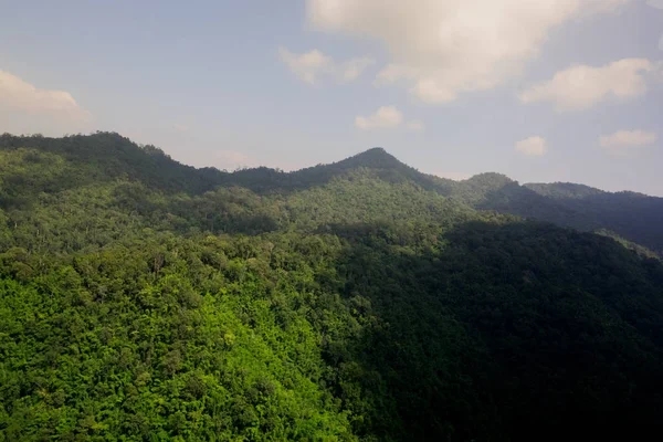 熱帯雨林の空中写真 — ストック写真