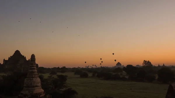 Balóny Nad Dhammayangyi Chrám Bagan Myanmar Balonem Nad Bagan Jedním — Stock fotografie