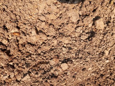 Tropikal laterite toprak ya da kırmızı toprak geçmiş. Sorunsuz kum arka plan kırmızı mars. 