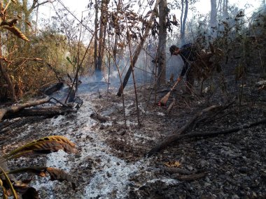 Söndürülmesi güç ateş yanan orman yangını gün zaman yakın