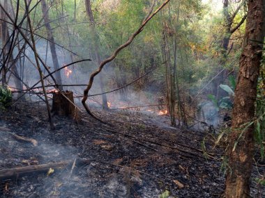 Söndürülmesi güç ateş yanan orman yangını gün zaman yakın