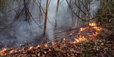 Söndürülmesi güç ateş yanan orman yangını gün zaman yakın