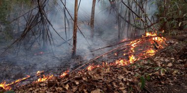 Söndürülmesi güç ateş yanan orman yangını gün zaman yakın