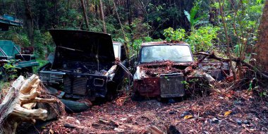 Orman kalıntı eski araba uzakta ormanda paslanma