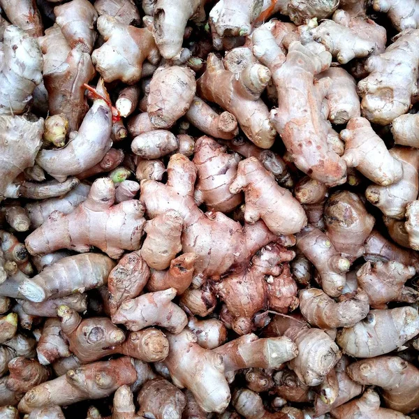 a lot of ginger. A lot of Ginger Root. ginger harvest. ginger root food background. closeup photo / top view