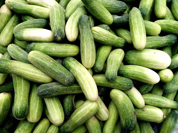 Cucumber background Cucumber harvest. many cucumbers. cucumbers from the field.