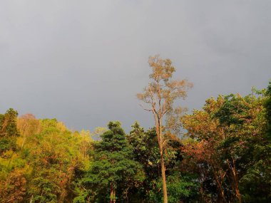 Fırtına bulutu güneş ışığı ile