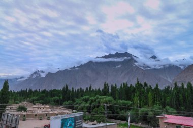 Dağ manzarasının önündeki ağaç