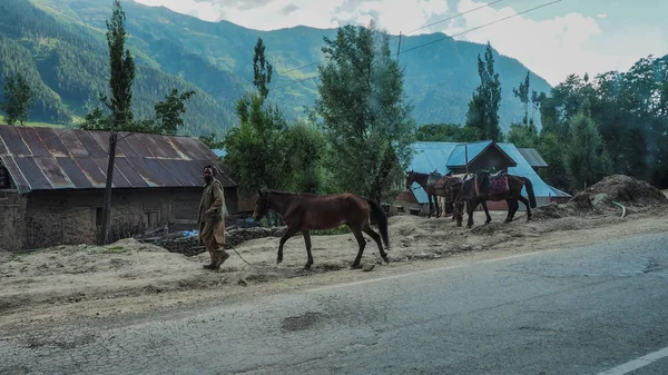 Kashmir India Julio 2017 Los Indios Extranjeros Montan Caballo Bazar — Foto de Stock