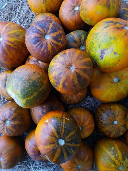 Frische Melone Oder Kantaloupe Auf Dem Markt — Stockfoto