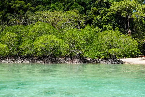 Moře Tropického Ostrova Surin Island Thajsko — Stock fotografie