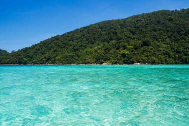 Tropik ada denizi, Surin Adası, Tayland