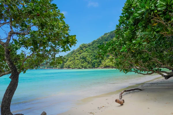 Hav Tropiske Øyer Surin Island Thailand stockfoto