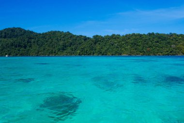 Tropik ada denizi, Surin Adası, Tayland