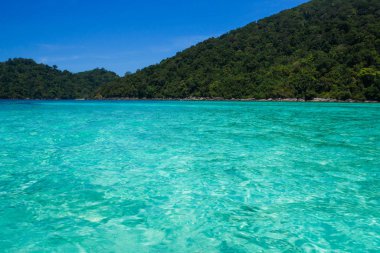 Tropik ada denizi, Surin Adası, Tayland