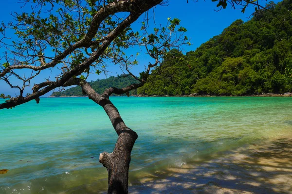 Deniz Tropikal Ada Surin Adası Tayland — Stok fotoğraf