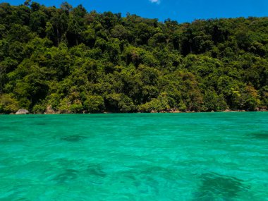 Plaj ve tropikal deniz, Surin Adası, Phang-Nga Eyaleti, Tayland.