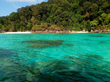 Plaj ve tropikal deniz, Surin Adası, Phang-Nga Eyaleti, Tayland.
