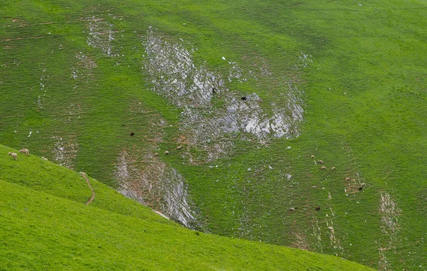 Beautiful Mountain Landscape Jammu Kashmir State India — Stock Photo, Image