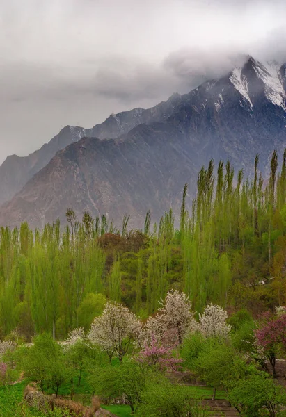 Landscape View Hunza Valley Pakistan — Stock Photo, Image