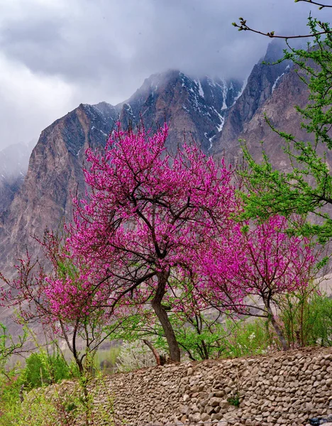 Vue Paysage Vallée Hunza Pakistan — Photo