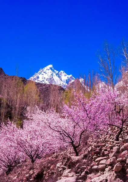 Vista Paisagem Hunza Valley Paquistão Imagem De Stock