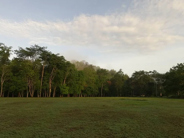 Campo Montanha Grama Manhã — Fotografia de Stock