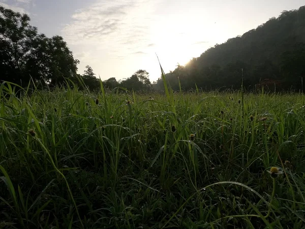 早晨的山野和草场 — 图库照片