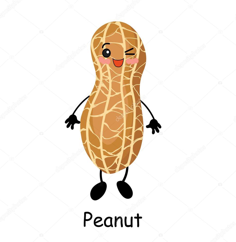 cartoon nuts vector illustration isolated on white background. Kawaii peanut.