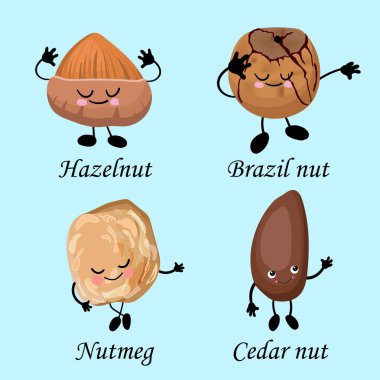 Çatlaklar topluluğu. Sağlıklı yiyecekler. Vejetaryenlik ve sağlıklı yiyecekler. Fındık, Brezilya fındığı, çam fıstığı, hindistan cevizi..