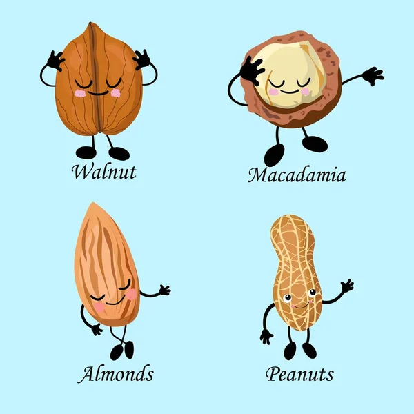 Juego de caracteres de cacahuetes, almendras, macadamia y nueces. Comida vegana .. — Archivo Imágenes Vectoriales