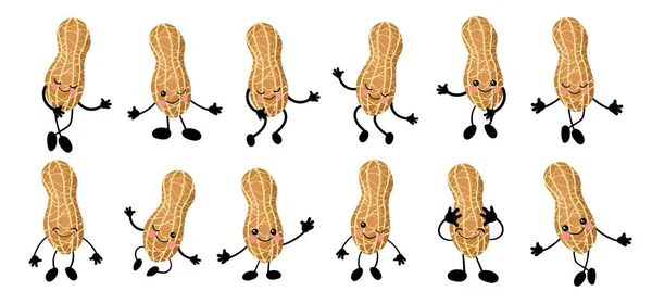 Cacahuetes. un gran conjunto de personajes de Cute Nuts con manos y ojos. Dibujos animados de frutas o verduras. Comida vegana útil. Aislado sobre fondo blanco .. — Vector de stock