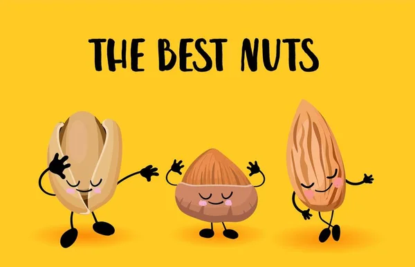 Die besten Nüsse Charakter. Nützliche vegane Kost. Nüsse sind gut. — Stockvektor