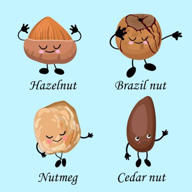 Çatlaklar topluluğu. Sağlıklı yiyecekler. Vejetaryenlik ve sağlıklı yiyecekler. Fındık, Brezilya fındığı, çam fıstığı, hindistan cevizi..