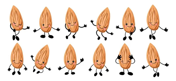 Cute cartoon almond. Walnut character. illustration isolated on white background.. — 스톡 사진