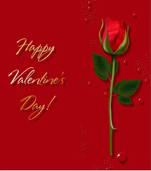 Rosa Vermelha. Presente para o Dia dos Namorados. O Valentine. Cartão, cartaz, cartaz. Fundo vermelho. Ilustração vetorial. Declaração de amor .. — Vetor de Stock