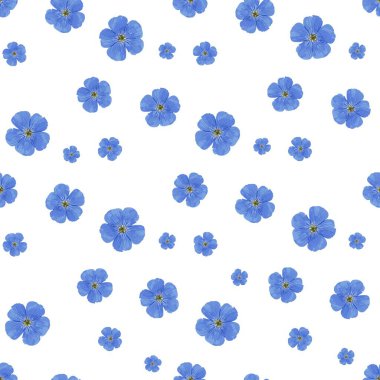 SEAMLESS VECTOR FLOWER PATTERN. White background. Spring bright colors. blue. Perfect design for textile and wrapping paper. Flax flowers..