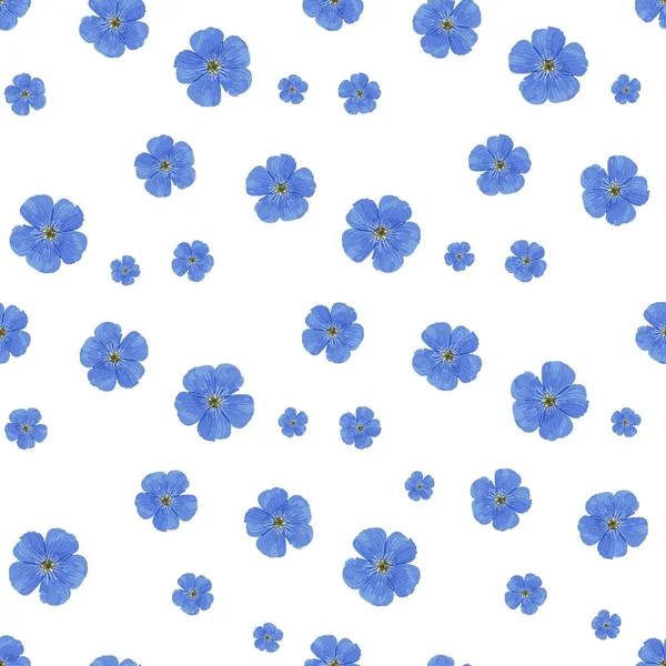 SEAMLESS VECTOR FLOWER PATTERN. White background. Spring bright colors. blue. Perfect design for textile and wrapping paper. Flax flowers.. — Stock vektor