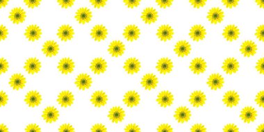 Çiçeklerle basit, pürüzsüz bir desen. Beyaz arka planda sarı çiçekler. Tekstil, kumaş ve ambalaj kağıdı tasarımı..