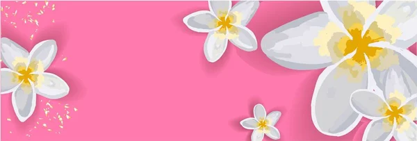 Fondo de primavera brillante para una inscripción. Las flores son blancas. ¡Lily! Banner horizontal sin texto .. — Vector de stock