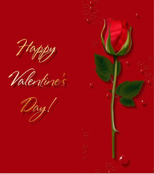 赤いバラ。バレンタインデーへの贈り物。バレンタインだ。グリーティングカード、ポスター、バナー。赤の背景。イラストだ。愛の宣言.. — ストック写真