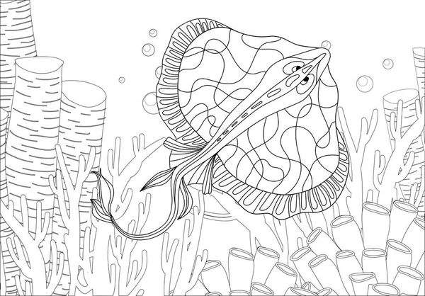전하게 동그란 가오리의 사진이 비스트레스 스케치 일러스트 — 스톡 벡터