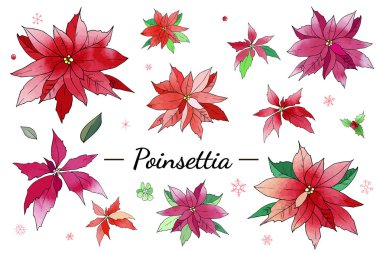 Suluboya desenli Noel aroması seti. Tatil dekorasyonu. Kartpostallar, selamlar, kartlar, logolar için. El yapımı tasarım elementleri. Şenlikli arkaplan.